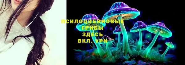ALPHA PVP Богородицк