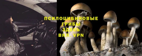 a pvp Богородск