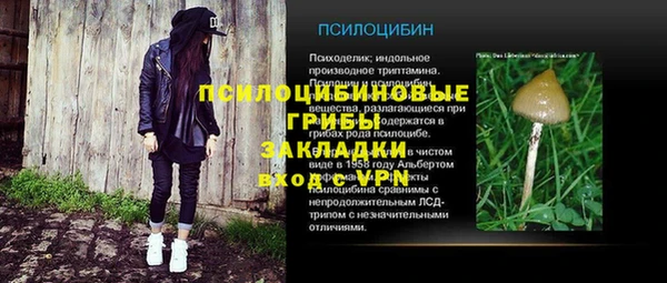 ALPHA PVP Богородицк